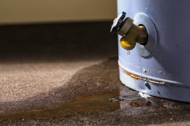 Best Basement water damage restoration  in Mountain Iron, MN