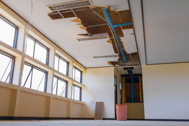 Best Professional water damage repair  in Mountain Iron, MN