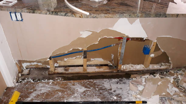Best Local water damage restoration  in Mountain Iron, MN