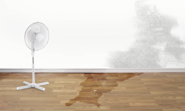 Best Sewage cleanup and water damage restoration  in Mountain Iron, MN