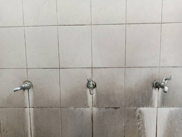 Best Water damage restoration near me  in Mountain Iron, MN