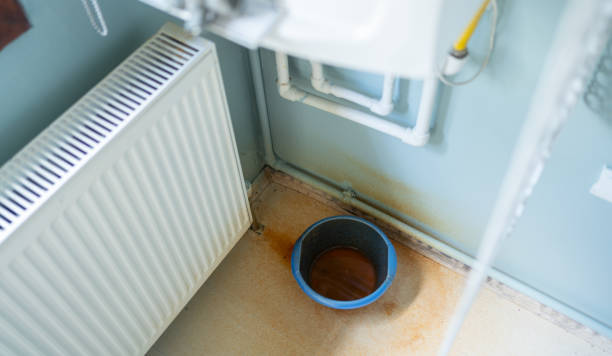 Best Ceiling water damage repair  in Mountain Iron, MN