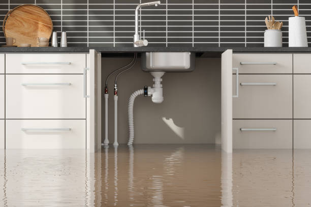 Best Water damage contractors near me  in Mountain Iron, MN