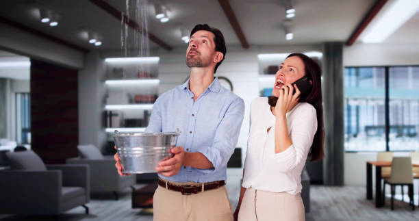Best Flood restoration services  in Mountain Iron, MN